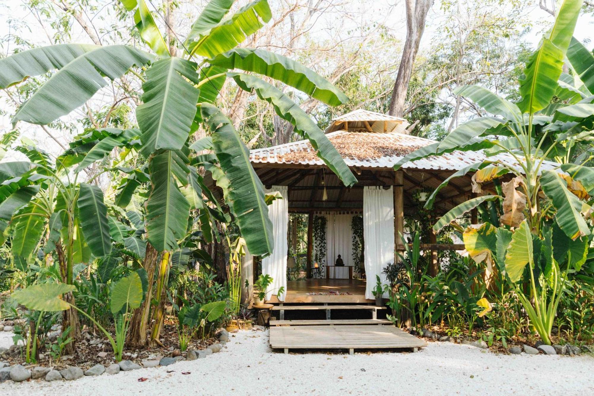 Zeneidas Surf Garden Playa Santa Teresa  외부 사진
