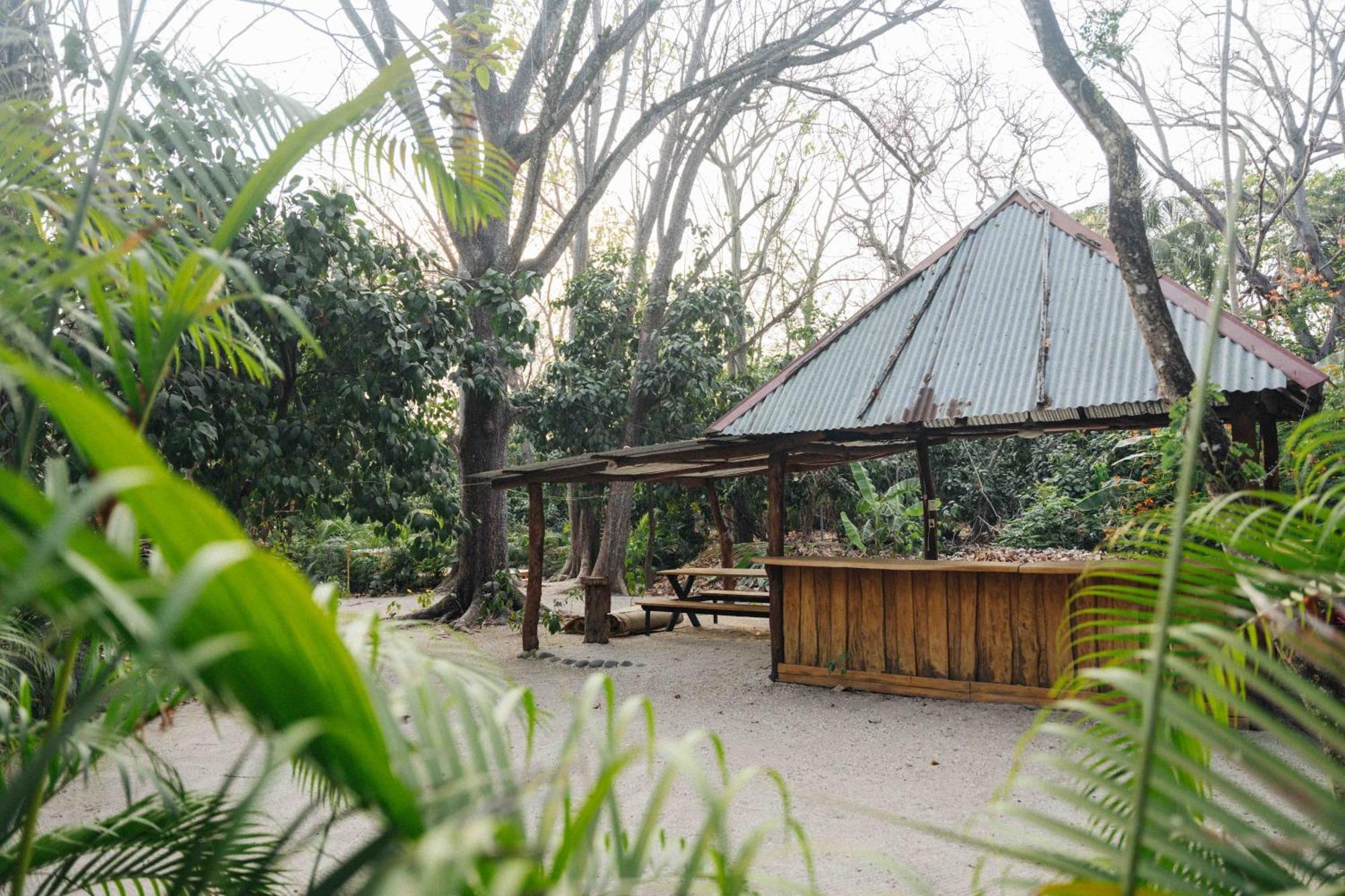 Zeneidas Surf Garden Playa Santa Teresa  외부 사진