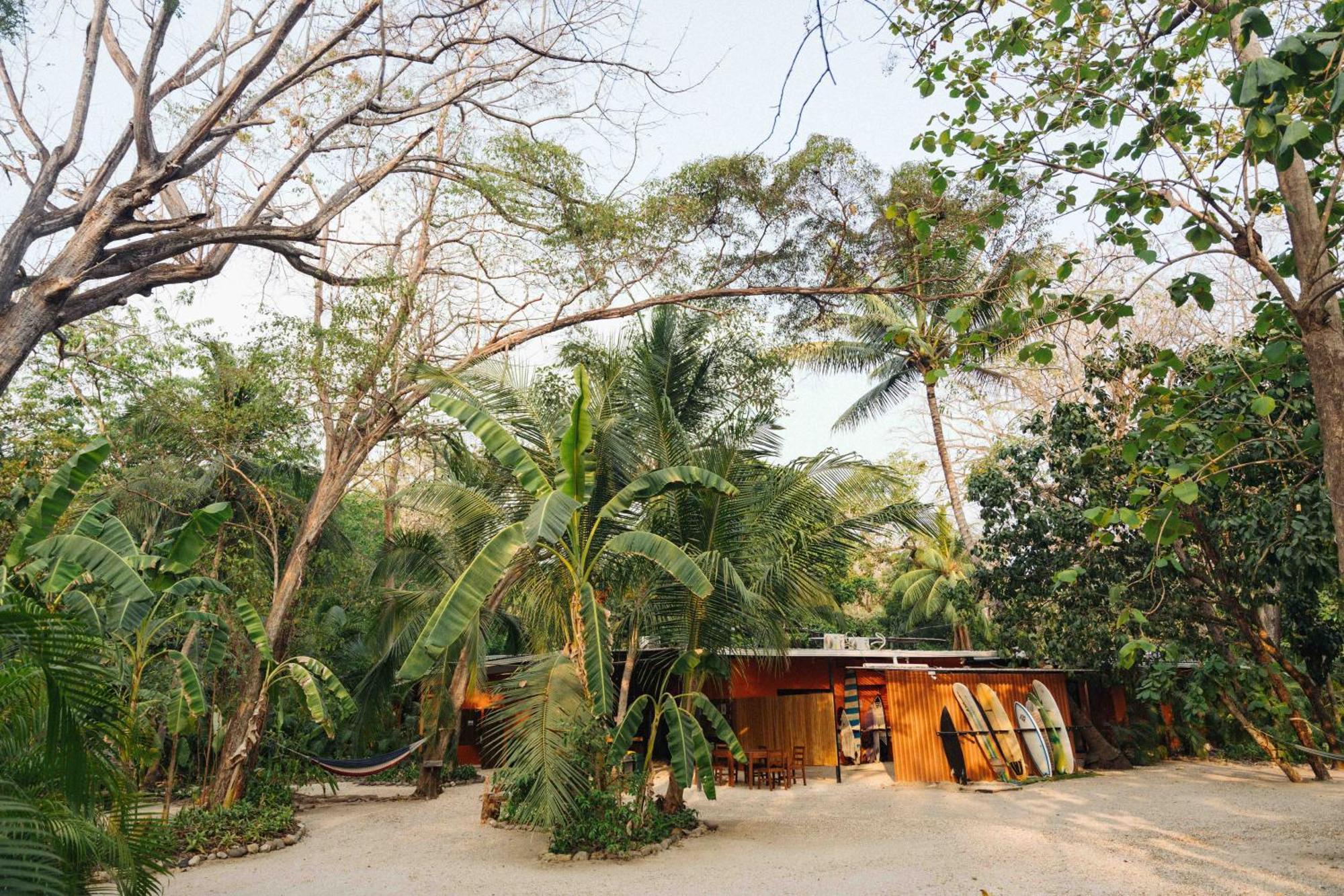 Zeneidas Surf Garden Playa Santa Teresa  외부 사진